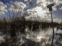 07022022-Fietspaden-ondergedompeld-in-water-Dordtsche-Biesbosch-Dordrecht-Stolkfotografie-1