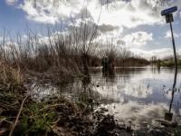 07022022-Fietspaden-ondergedompeld-in-water-Dordtsche-Biesbosch-Dordrecht-Stolkfotografie-2