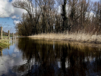 07022022-Fietspaden-ondergedompeld-in-water-Dordtsche-Biesbosch-Dordrecht-Stolkfotografie-3