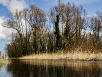 07022022-Fietspaden-ondergedompeld-in-water-Dordtsche-Biesbosch-Dordrecht-Stolkfotografie-4