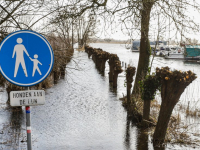 07022022-Fietspaden-ondergedompeld-in-water-Dordtsche-Biesbosch-Dordrecht-Stolkfotografie-5