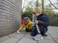 Dordtse scholen sluiten aan bij Nationale Buitenlesdag