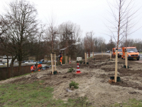 Nieuwe bomen langs nieuwe weg Admiraal de Ruyterweg Dordrecht