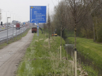 Bomen geplant langs de Randweg N3 Dordrecht