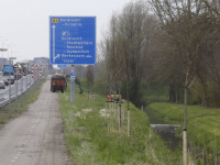 Bomen geplant langs de Randweg N3 Dordrecht