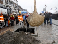 20141912-Boomvervanging-en-herbestrating-Binnen-Kalkhaven-Dordrecht-Tstolk-001_resize