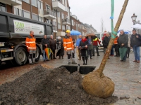 20141912-Boomvervanging-en-herbestrating-Binnen-Kalkhaven-Dordrecht-Tstolk_resize