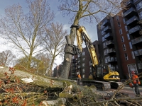 20171403 Populierenbomen gekapt Nassauweg Dordrecht Tstolk 003