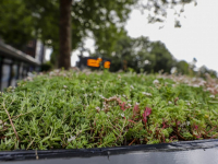 Eerste nieuwe bushokjes geplaatst Dordrecht