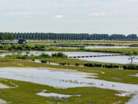 De vernieuwde Biesbosch Dronefoto\'s Dordrecht