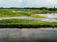 De vernieuwde Biesbosch Dronefoto\'s Dordrecht