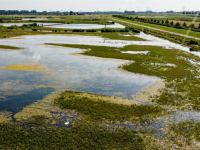 De vernieuwde Biesbosch Dronefoto\'s Dordrecht