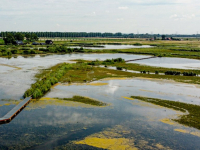 De vernieuwde Biesbosch Dronefoto\'s Dordrecht