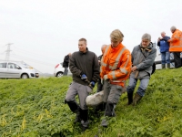 20142611-Onthulling-nieuwe-grenssteen-buitengebied-Wieldrechtse-Zeedijk-Dordrecht-Tstolk_resize