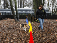 Hondencampus Louterbloemen Dordrecht