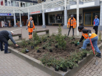 Nieuwe parkeerplaatsen én beplanting op winkelcentrum Crabbehof