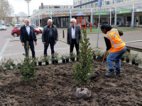 Nieuwe parkeerplaatsen én beplanting op winkelcentrum Crabbehof