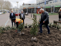 Nieuwe parkeerplaatsen én beplanting op winkelcentrum Crabbehof