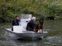 Politie zoekt met hond naar vermiste Dirk Dalebout Mallegat Oost Dordrecht