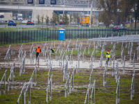 Laatste zonnepark naast A16 in aanbouw Wieldrechtsezeedijk Dordrecht