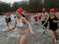 Nieuwjaarsduik Dordrecht