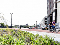 Noorderhoofd mooi rustpunt en start wandelrondje Wantij-West Dordrecht