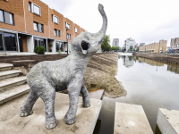 Vandalisme en nu al overlast hangjongeren Tromptuinen Dordrecht