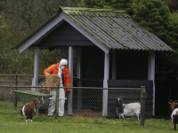 Dierenverzorgers in witte pakken