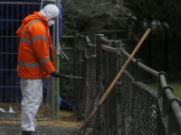 Dierenverzorgers in witte pakken