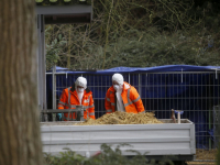 Dierenverzorgers in witte pakken