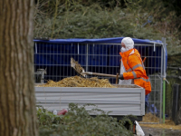 Dierenverzorgers in witte pakken