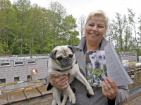 Mirjam Addiks Louterbloemen Dordrecht