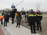 Paard op hol geslagen , meisje heeft hofdwond