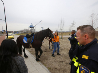Paard op hol geslagen , meisje heeft hofdwond