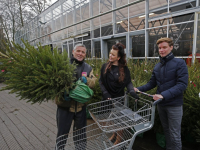 Tijd voor kerstbomen Dordrecht