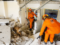 Usar nl traint in voormalig kinderdagverblijf Refaja ziekenhuis Dordrecht