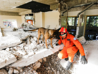 Usar nl traint in voormalig kinderdagverblijf Refaja ziekenhuis Dordrecht