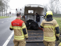 Paard schrikt en raakt bekneld in paardentrailer