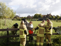 20171209 Senne na ruim 2 uur gered uit sloot Zuidkil Papendrecht Tstolk 004