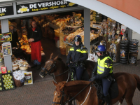 Politiepaarden in actie tijdens \'donkere dagen offensief\' WC De Meent Papendrecht