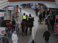 Politiepaarden in actie tijdens \'donkere dagen offensief\' WC De Meent Papendrecht