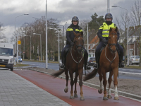 Politiepaarden in actie tijdens \'donkere dagen offensief\' WC De Meent Papendrecht