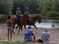 20172707 Politie voert controle uit in Hollandse Biesbosch Dordrecht Tstolk 001