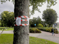 Demonstratie voor kappen van bomen Weizigtpark Dordrecht