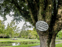 Demonstratie voor kappen van bomen Weizigtpark Dordrecht
