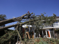 Achtentwintig meter hoge boom valt op woonhuis