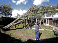 Achtentwintig meter hoge boom valt op woonhuis