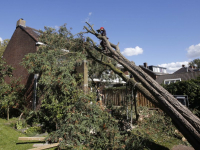 Achtentwintig meter hoge boom valt op woonhuis