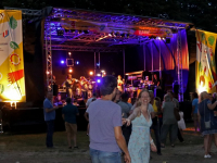 Bongomatik palm Parkies Dordrecht