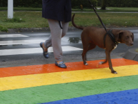 Regenboogpad hersteld Veerweg Papendrecht